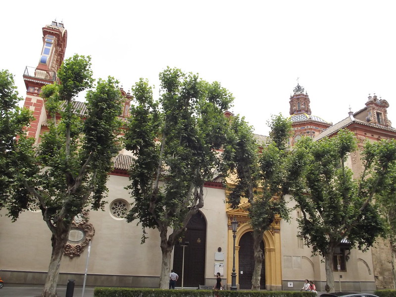 14504024718 d5e540cafd c